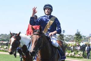 Glistening lights up Flemington straight in Moomba Plate