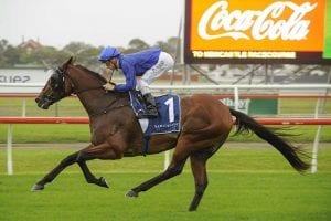 Happy Clapper wins at Newcastle