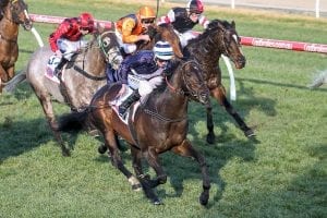 Newmarket Handicap key facts and figures