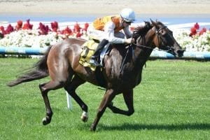 Fillies impress in Moonee Valley wins