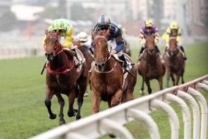 Impressive Aethero draws Able Friend comparison, Purton hits a century