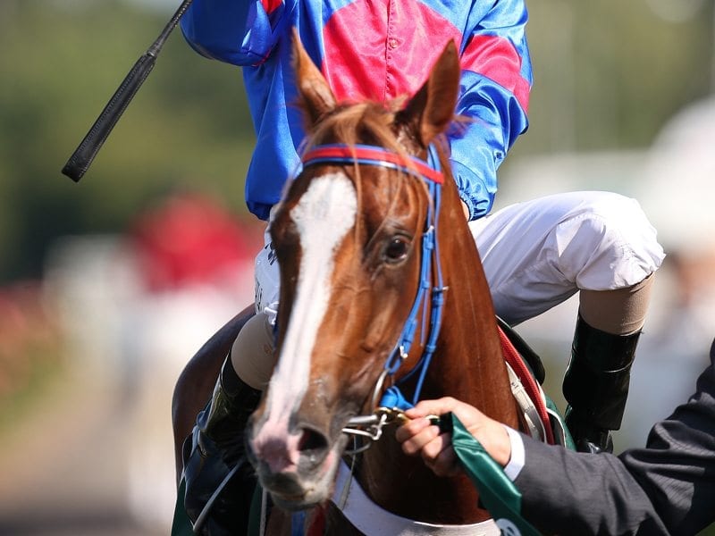 Jockey Kathy O'Hara on Single Gaze