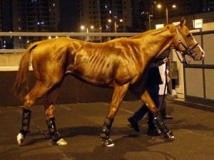 The United States arrives in Hong Kong