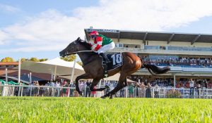 Karrakatta Plate winner Amelia's Jewel set to become another WA star