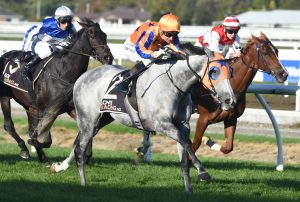 Potent combination lands another winning blow with Aromatic