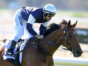 Import Harrison gets first Australian win