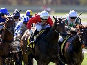 Corstens stable dominates VOBIS Gold Rush