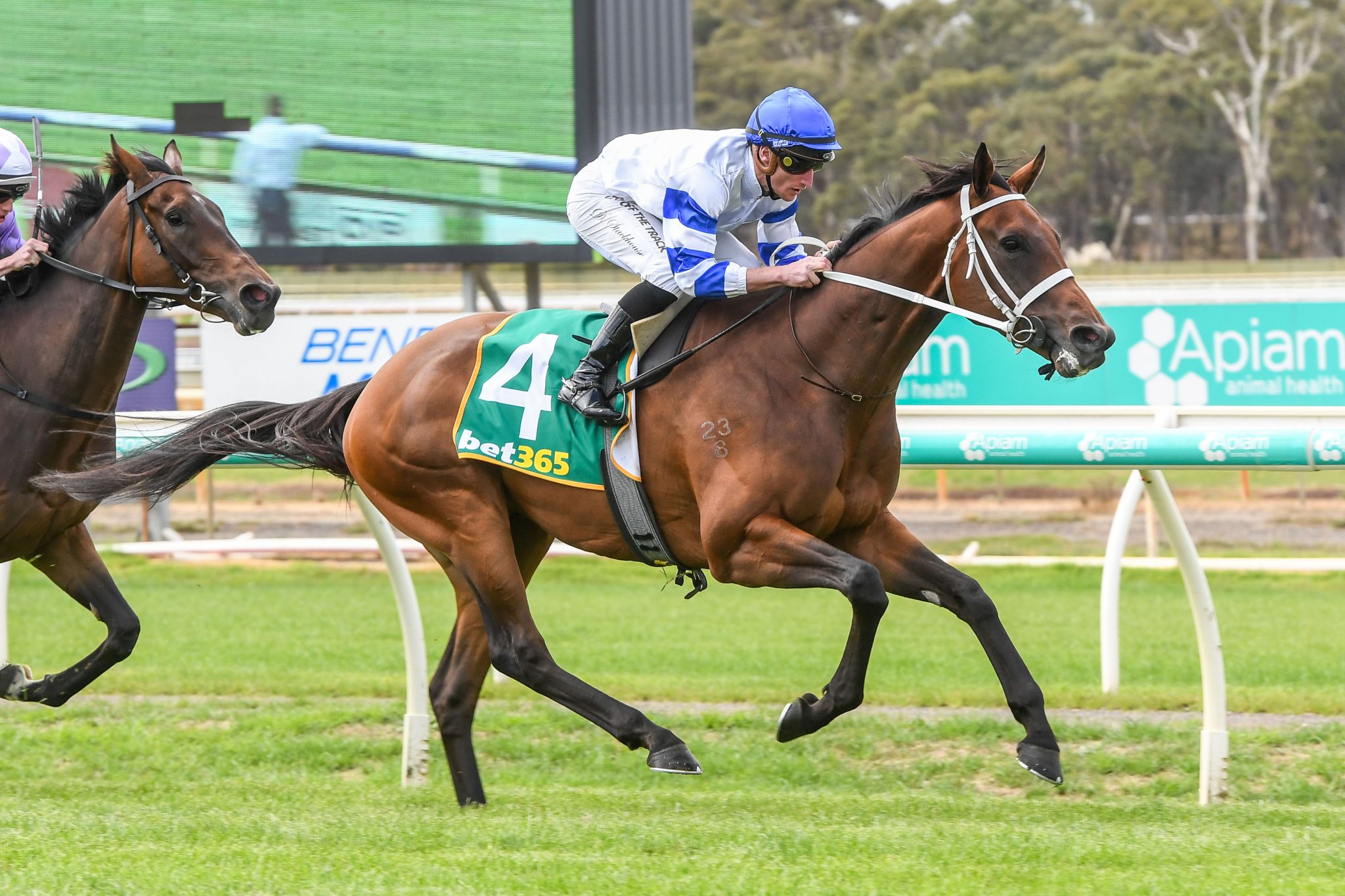 Caboche relishes extra distance at Bendigo