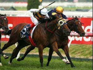 Fastnet Tempest scores for Lindsay Park