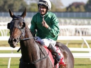 Long shot Graceful Storm wins at Caulfield