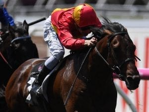 Levendi wins Group One Australian Derby