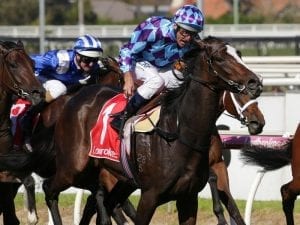 Princess Jenni Australasian Oaks bound