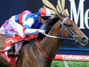 Williams and Property reunite at Caulfield