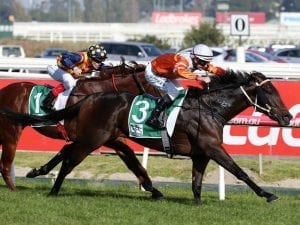 Sam's Image upsets favourite at Caulfield