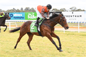 Emotional Win for Colsridge at Bendigo