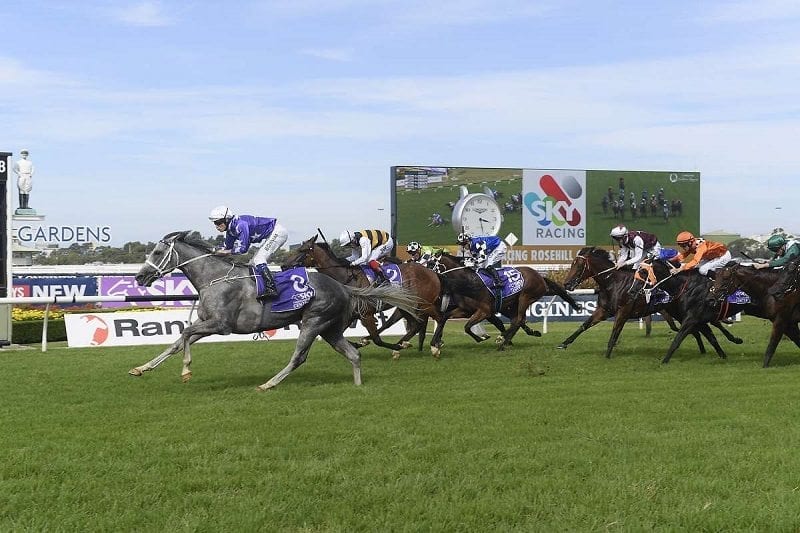 Corey Brown to ride D'Argento 1kg over