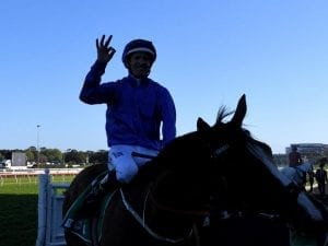 Bowman dreaming of another Doncaster win