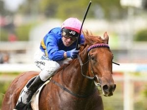 Gem of Scotland shines bright at Doomben