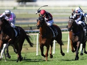 Rest has helped Doomben recover