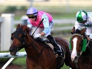 Aqua Vite ready for first stakes win