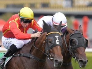 Winter Bride on way up for Victory Stakes