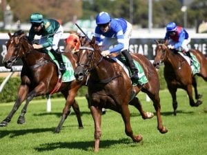 Deep Sea to get experience at Eagle Farm