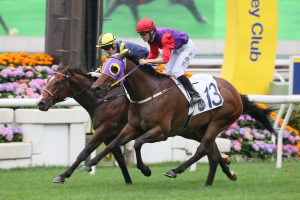 Benno Yung trains 300th Hong Kong winner