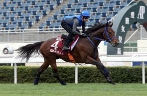 Japan chases first Chairman’s Sprint Prize