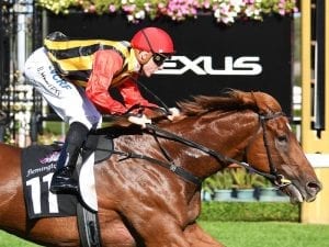 Vassilator scores in shock Flemington win