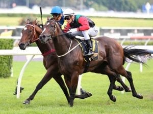 English set for Doomben 10,000