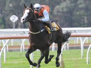 Menari on target after Warwick Farm gallop