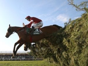 Tiger Roll wins second Grand National