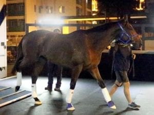 Santa Ana Lane arrives in Hong Kong