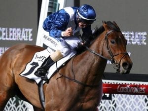 Viddora lame after trackwork in Hong Kong