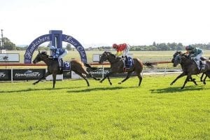 Hawkesbury betting preview, tips & top odds | Monday, April 05