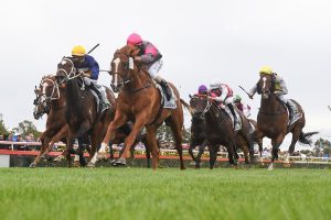 Gundec takes out 2022 Bendigo Guineas