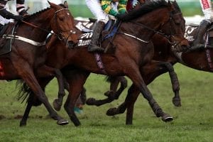 Tramore’s Monday meeting must pass precautionary check