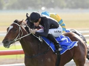 Pecans to defend Crown at Hawkesbury