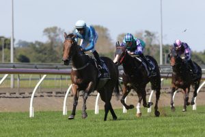 Smart debut suggests more to come for Marengo