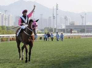 Old allies seek Champions Mile glory