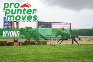 Wyong market movers for Wednesday, April 4