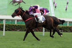 Doleuze keeps rhythm as Prawn Baba takes the Sha Tin feature