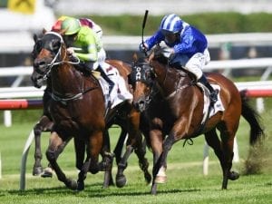 Dashing Muraaqeb wins Carbine Club Stakes