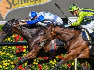 Lance O'Sullivan trains Randwick winner