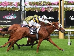 Chieftain ticks the right boxes: Alexander