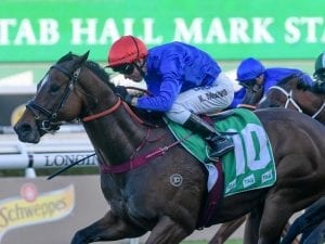 Trekking wins Group Three Hall Mark Stakes