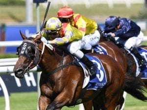 Paquirri breaks maiden in Randwick upset