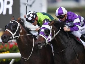 Higher Ground wins close Packer Plate