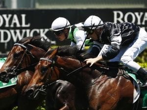 Velvet a big hit at Randwick for Crystal