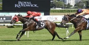 Redzel